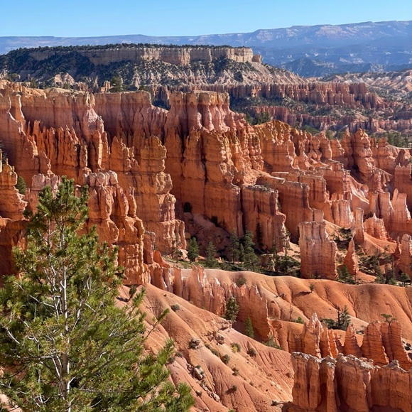 Meet your Posher, Eva - Picture 3 of 8